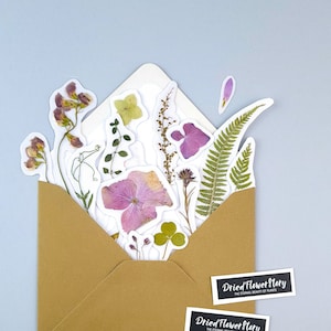 Autocollants avec de vraies fleurs pressées, 15pcs, Pack botanique avec herbes séchées, Autocollants d’herbier pour le scrapbooking, autocollant iphone d’hortensia rose