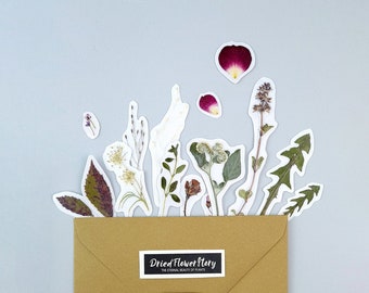 Sticker pack with dried flowers, 15 pcs, real herbs, rose petals, dandelion, Herbarium decals for scrapbooking, plants for Laptop