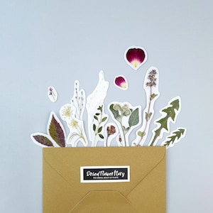 Pack d’autocollants avec des fleurs séchées, 15 pcs, de vraies herbes, des pétales de rose, du pissenlit, des décalcomanies d’herbier pour le scrapbooking, des plantes pour ordinateur portable