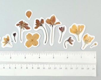Real apple blossom stickers with dried flowers (15pcs), dried plants, Herbarium decals for scrapbooking, sticker for iphone, macbook