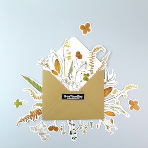 autocollants avec de vraies fleurs pressées, 15pcs, pack botanique avec des herbes séchées, autocollants d’herbier pour scrapbooking, bâton pour ordinateur portable avec plante