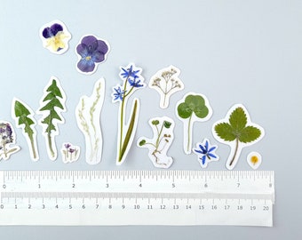 14 Botanical stickers with Hydrangea,  dried flowers, real herbs. Herbarium decals for scrapbooking, plants for Laptop