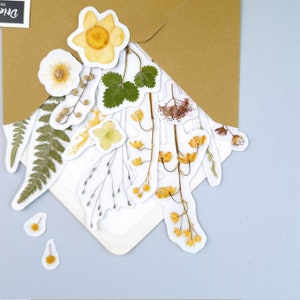 Stickers fleurs pressés avec de vraies herbes (15 pcs), plantes séchées et muguet, stickers herbier pour scrapbooking, sticker pour iphone