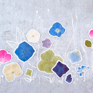 Véritable paquet d’autocollants d’hortensia séché, 16 décalcomanies de fleurs pressées, ensemble de pétales bleus, décor de livre botanique, autocollants d’herbier pour ordinateur portable ou téléphone