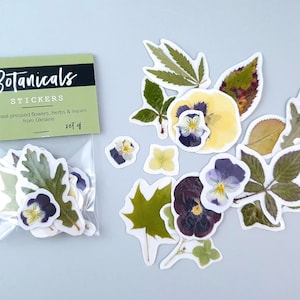 Pack d’autocollants avec feuilles séchées et fleurs pressées, 16pcs, véritable alto, feuille de cannabis, autocollants d’herbier pour scrapbooking, autocollant pour macbook