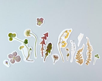 Stickers with pressed forest flowers, 15pcs, Botanical pack with dried herbs, Herbarium decals, lily of valley, natural clover, plant decor