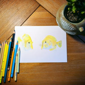 Yellow tangs, original artwork, pencil drawing