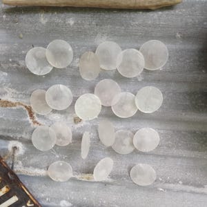 May include: A collection of white, round, smooth, seashells of various sizes.