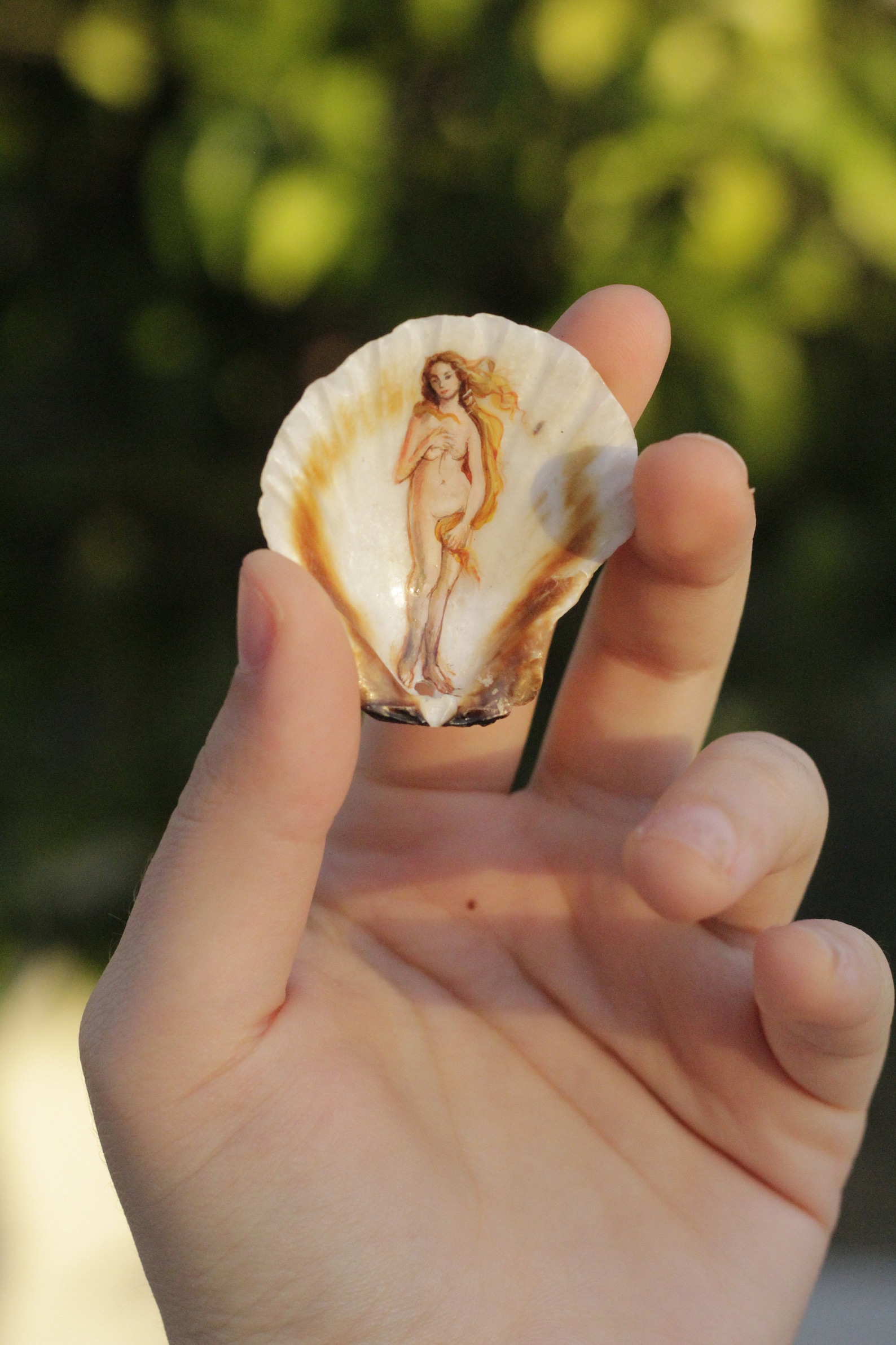 The Birth of Venus Hand Painted Shell Boticelli Painted Shell Sea Art