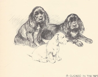 1935 KF Barker Original 2-sided Vintage Dog Print - Unique Gift for Dog Lovers