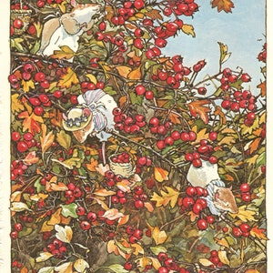 Brambly Hedge "Autumn Story" Original Jill Barklem Vintage 2-seitiger Druck - Niedliche Mäuse - Einzigartiges Geschenk