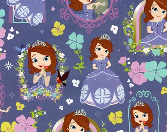 DISNEY PRINCESS SOFIA The First Wrapping Paper - Birthdays, Crafts, Decoupage, Scrapbooking