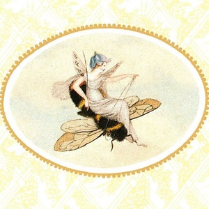 Victorian Fairies Original Print – Amelia Jane Murray - Regency Style Art – Flowers, Birds, Winged Insects - Natural History - Gift