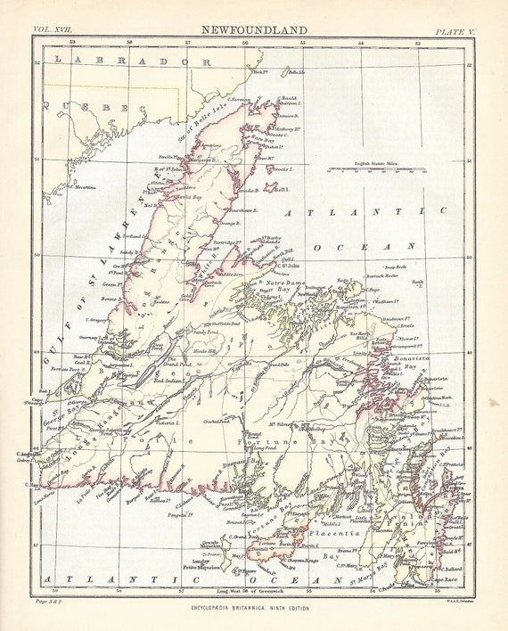 アンティークニューファンドランド地図印刷物：1886年ブリタニカ百科