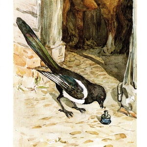 May include: A black and white magpie bird is perched on the ground, looking down at a small blue bottle labelled "Dr. Maggotty's Mixture".