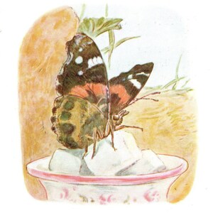 May include: A colorful illustration of a butterfly with black, orange, and white wings perched on a small bowl filled with white sugar cubes. The bowl has a pink rim and floral design. The background is a soft yellow and green.
