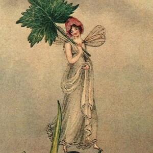 Victorian Fairies Original Print – Amelia Jane Murray - Regency Style Art – Flowers, Birds, Winged Insects - Natural History - Gift