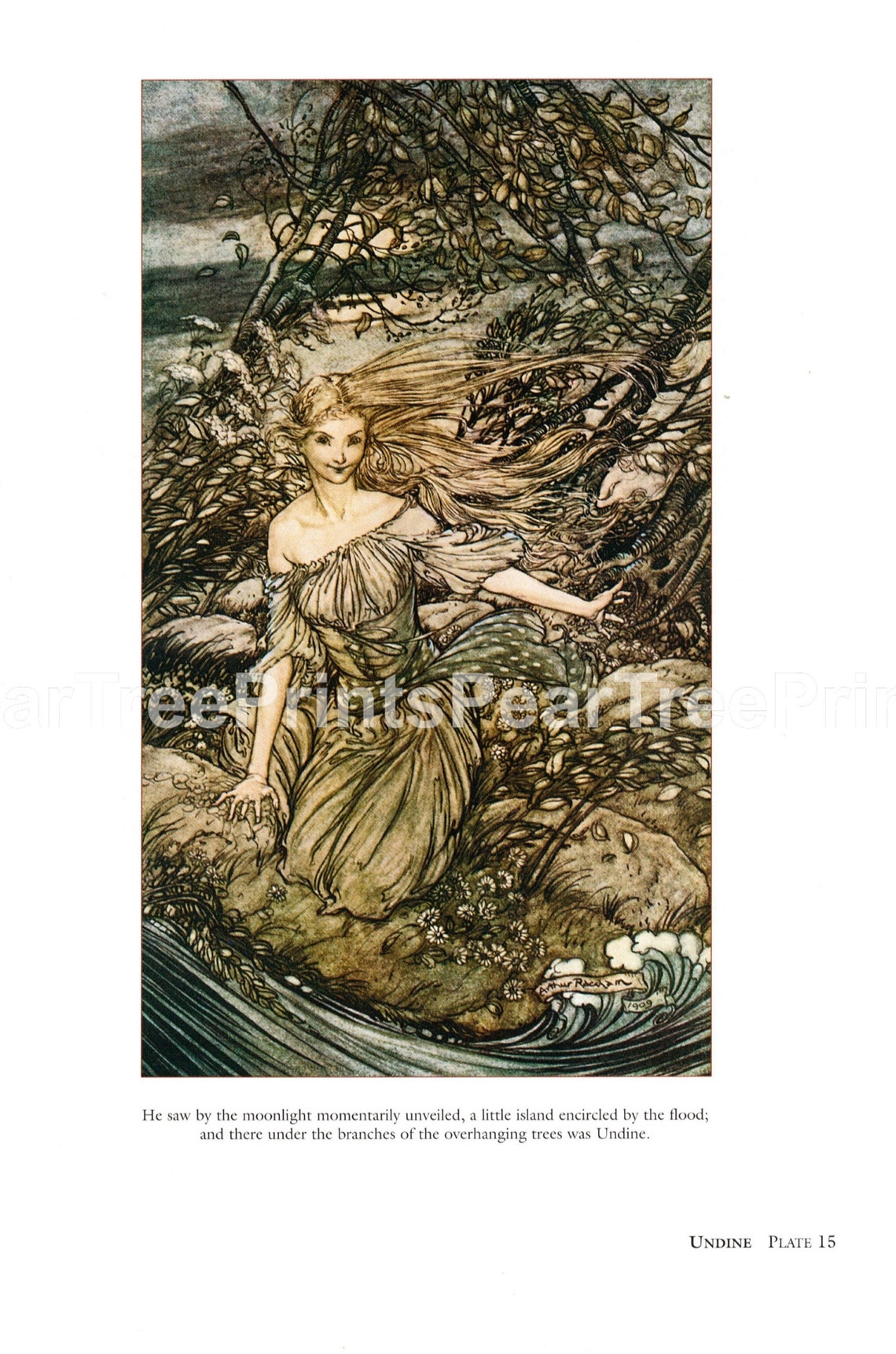 Arthur Rackham Undine Print: Vintage Fairy Tale Fantasy Art - Etsy UK