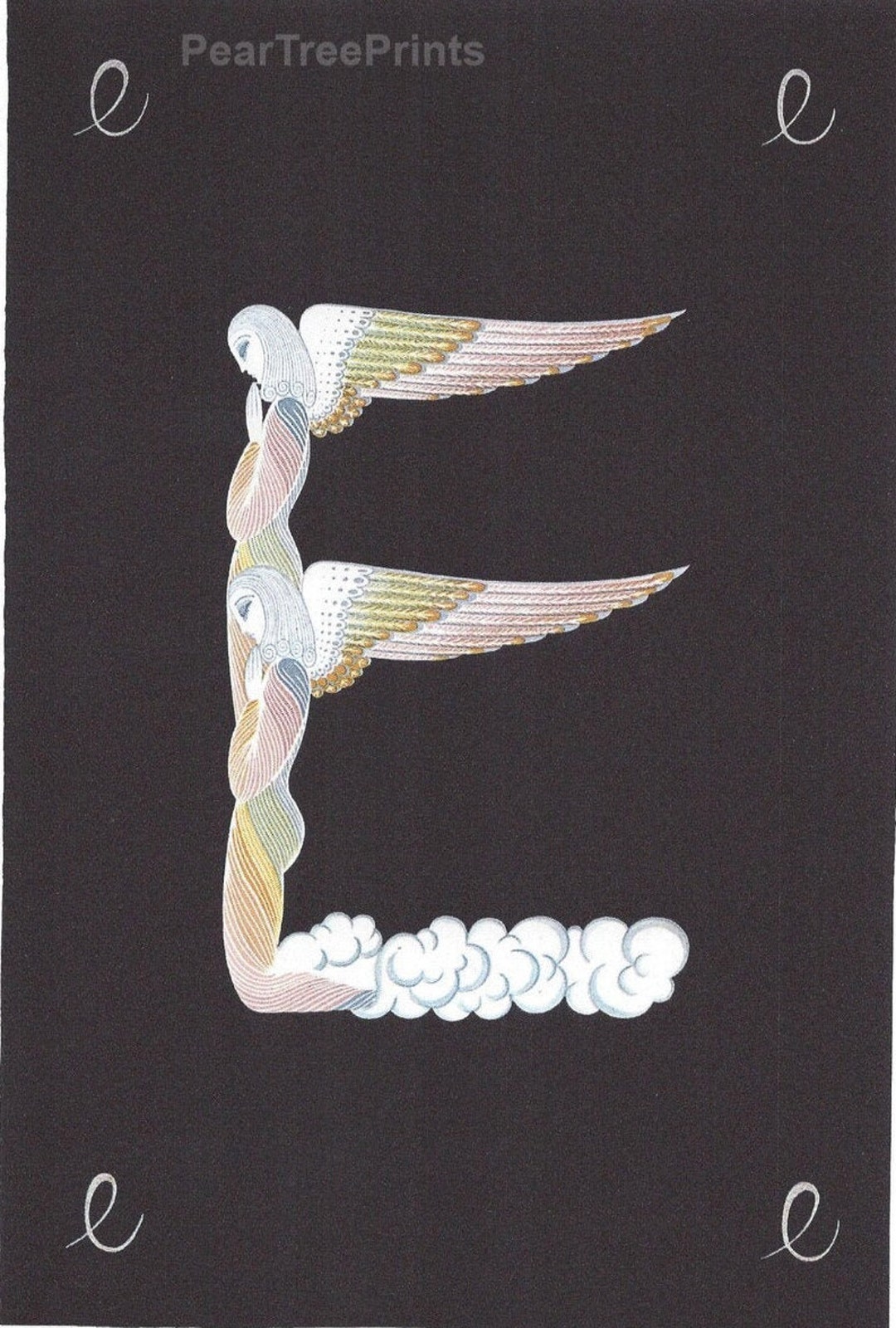 il_1080xN.2199463464_jgra.jpg