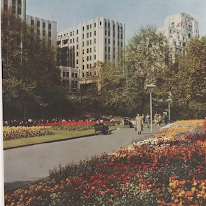 Impresión fotográfica vintage de Embankment Gardens - Libro Country Life de 1966