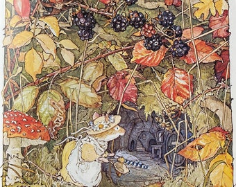 プリムローズ フォトフレーム ブランブリーヘッジ 写真立て プリムローズ フォトフレーム ブランブリーヘッジ 写真立て PRIMROSE