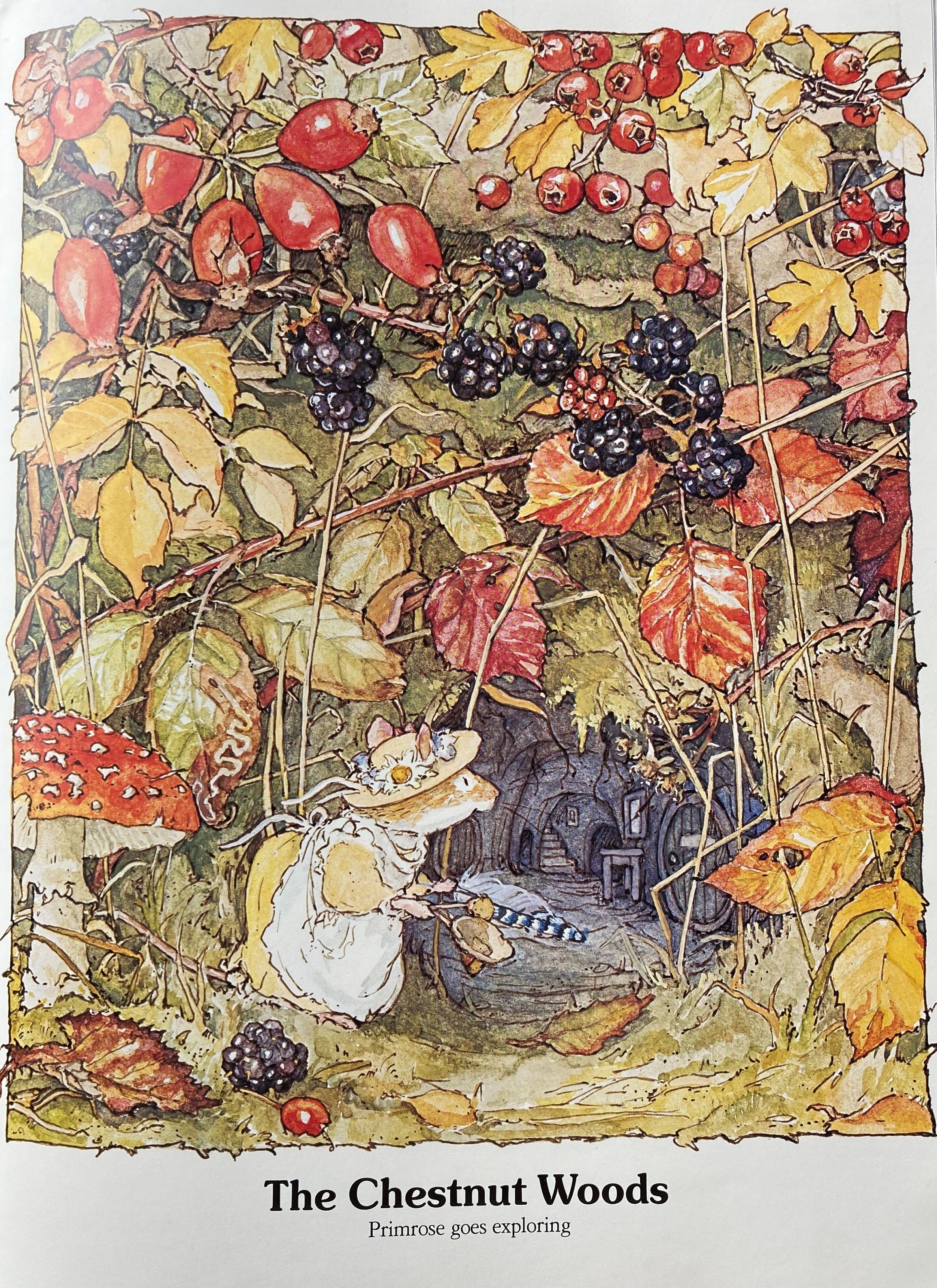Nivag Collectables: Lakeland Studios - Brambly Hedge