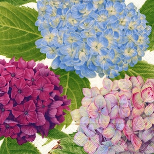 4 Paper Napkins / Serviettes HYDRANGEA GARDEN for Decoupage, Scrapbooking, Card-making, Mixed Media, Collage, Paper Crafts