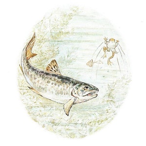 May include: An illustration of a fish swimming in water, with a frog jumping in the background. The fish is detailed with brown and gray scales, and the frog is depicted with a basket. The artwork has a vintage, storybook style.