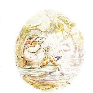 Może przedstawiać: Aquarela przedstawiająca żabę w białej koszuli i niebieskich butach, siedzącą na skale nad stawem, jedzącą muchę. Żaba otoczona jest liśćmi lilii wodnych i wodą.