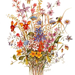 Puede incluir: Pintura a la acuarela de un vibrante ramo de flores silvestres. El arreglo presenta una variedad de flores en tonos rojos, naranjas, amarillos, morados y azules, con follaje verde. La firma del artista, "Daisy Wood", es visible.