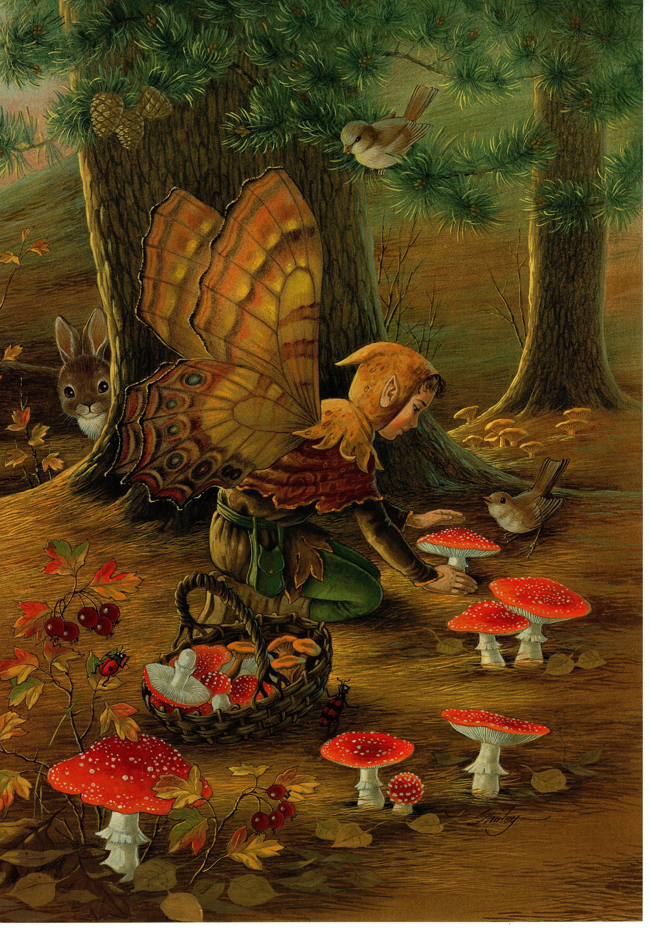 Shirley Barber Vintage Fairies Print: Fairyland Forest Art
