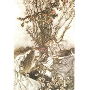 Arthur Rackham 1984 Original Vintage Print - Peter Pan in Kensington Gardens - Dancing with the Fairies - Classic Storybook Art - Gift