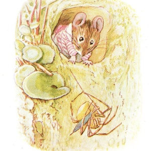 Könnte beinhalten: Illustration einer Maus in einem rosa gestreiften Hemd, die aus einer Baumhöhle lugt. Eine Spinne hängt darunter, mit Seerosen und Blättern im Hintergrund. Das Kunstwerk hat einen Vintage-Stil eines Bilderbuchs.