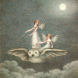 Victorian Fairies Original Print – Amelia Jane Murray - Regency Style Art – Flowers, Birds, Winged Insects - Natural History - Gift