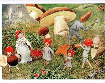 Rare Forest Children Original Vintage Print - Elsa Beskow illustrator – Vintage Toadstools, Strawberries, Mushrooms