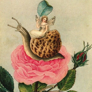 Victorian Fairies Original Print – Amelia Jane Murray - Regency Style Art – Flowers, Birds, Winged Insects - Natural History - Gift