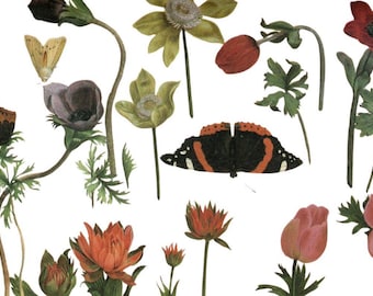 Antieke botanische posterkunst: bloemen anemonen met vlinders