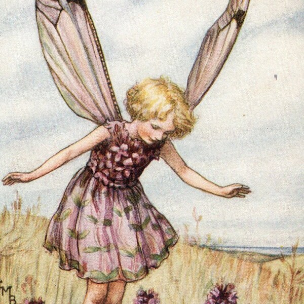 1950 Cicely Mary Barker “Flower Fairies of the Summer” – The Wild Thyme Fairy - Original Vintage Print – Nursery Art – Baby Shower – Gift