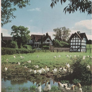Original Vintage Photo Print – Dovecot at Luntley Court, Herefordshire - 1966 from “Country Life Picture Book of Britain” – unique gift