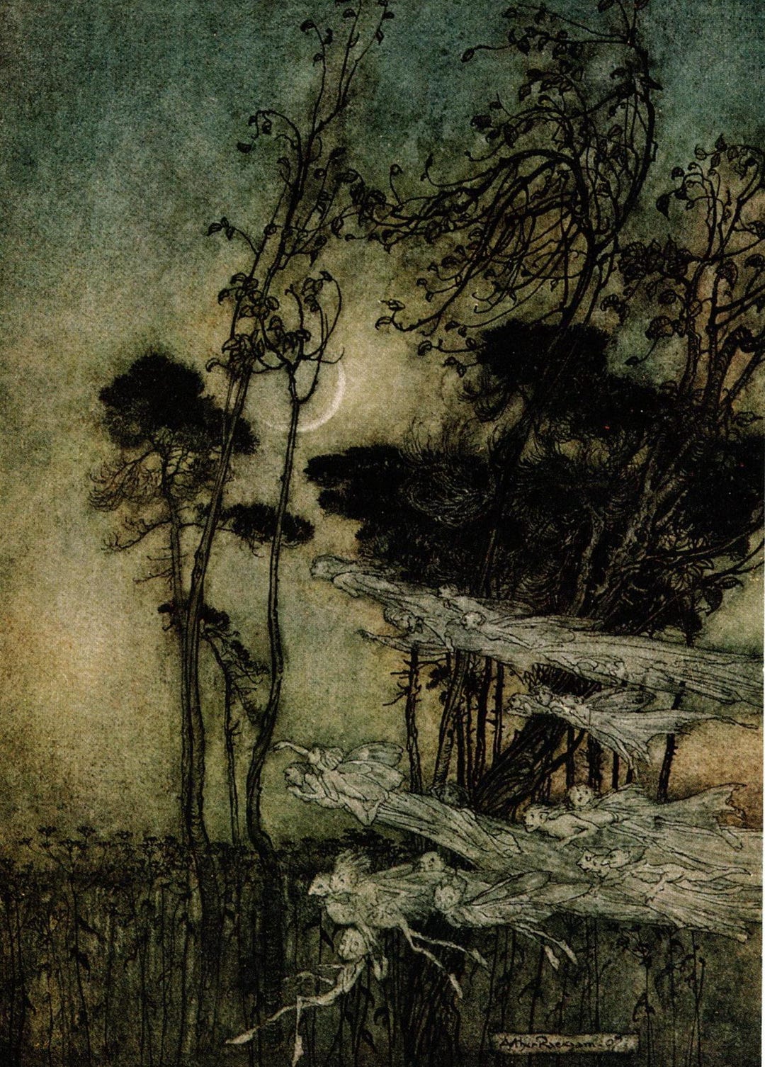Arthur Rackham Vintage Print: Shakespeare's Midsummer Night's Dream - Etsy