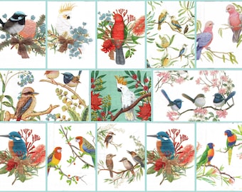 Native Australian Birds Paper Napkins: Decoupage, Scrapbooking Set