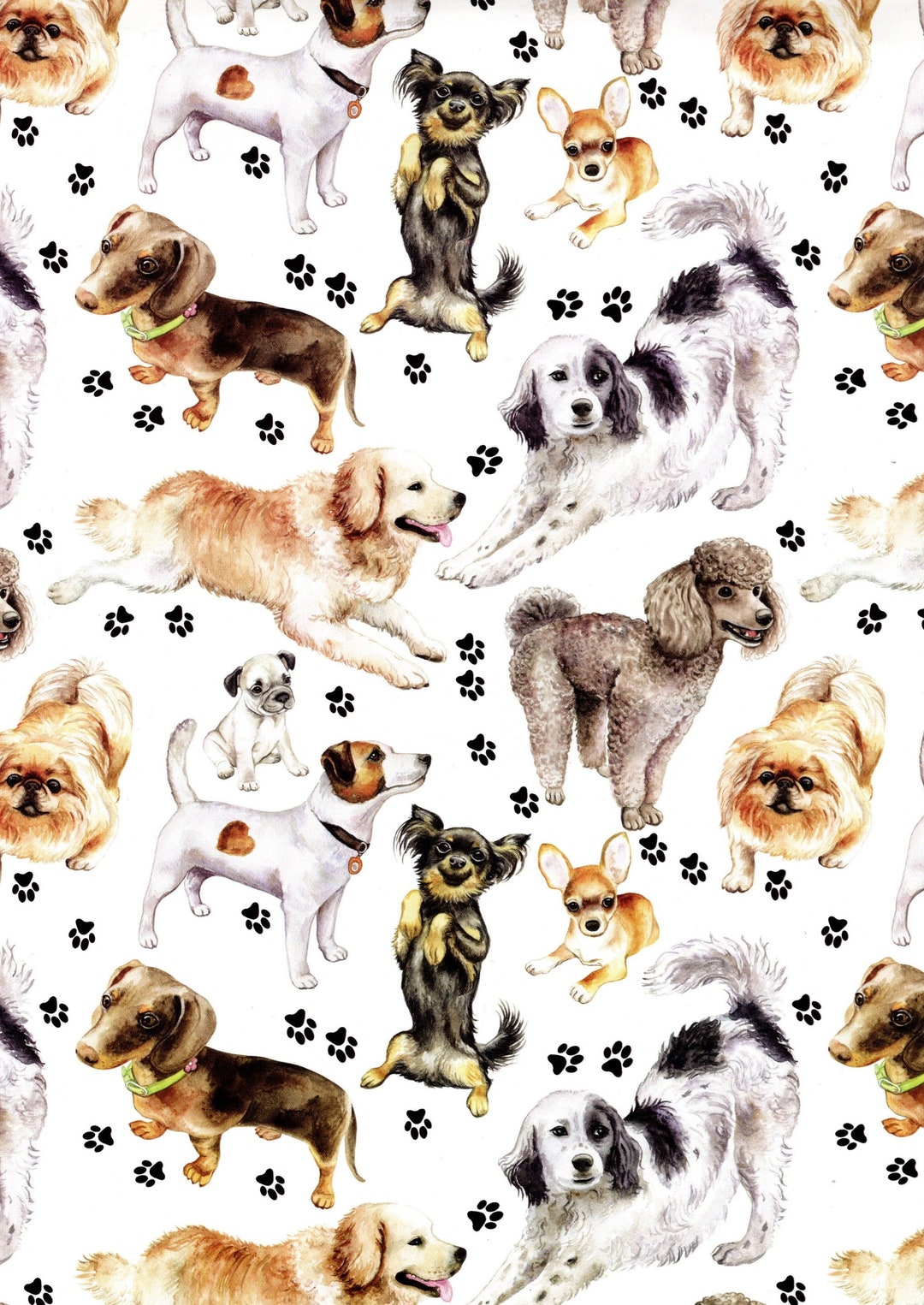 Personalised Dog Photo Gift Wrapping Paper - Pet Gift WrapPink & Posh