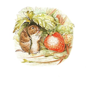 Pode incluir: Um pequeno rato castanho com uma cauda longa senta-se debaixo de uma folha verde, comendo um morango vermelho. O morango está parcialmente comido e tem um centro branco. O rato está segurando um caule verde em suas patas.