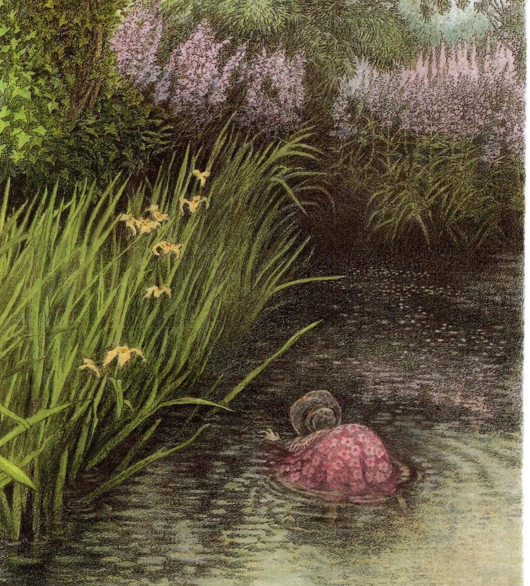 Wind in the Willows Vintage Print: 'the Further Adventures of Toad' - Etsy
