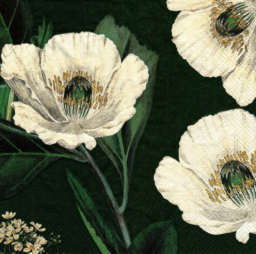 2 BOTANICAL FLORAL Dark Green Paper Napkins / Serviettes Decoupage