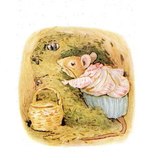 May include: Illustration of a mouse wearing a pink and white shirt and blue skirt, reaching towards insects. A woven basket sits on the ground. The scene is set in a grassy area with a light brown background.