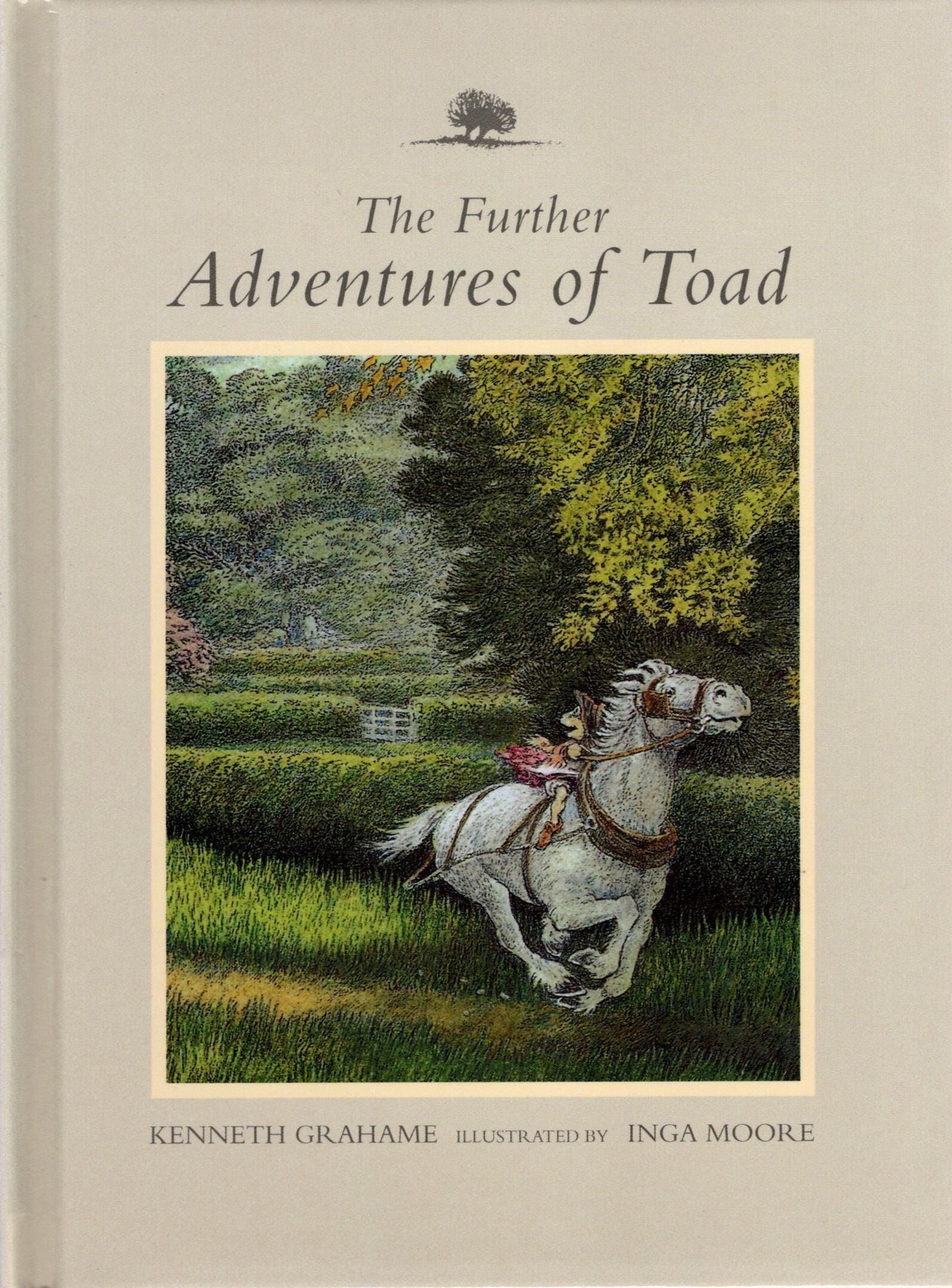 Wind in the Willows Vintage Book Cover: 'the Further Adventures of Toad ...