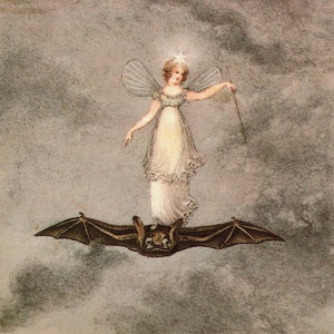 Victorian Fairies Original Print – Amelia Jane Murray - Regency Style Art – Flowers, Birds, Winged Insects - Natural History - Gift