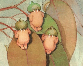 Gumnuts Bush Fairyland Original Vintage Print – May Gibbs' Life and Work - Fairytale Landscapes - Unique Gift