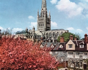 Vintage Norwich Cathedral from the Lower Close, England Original Photo Print